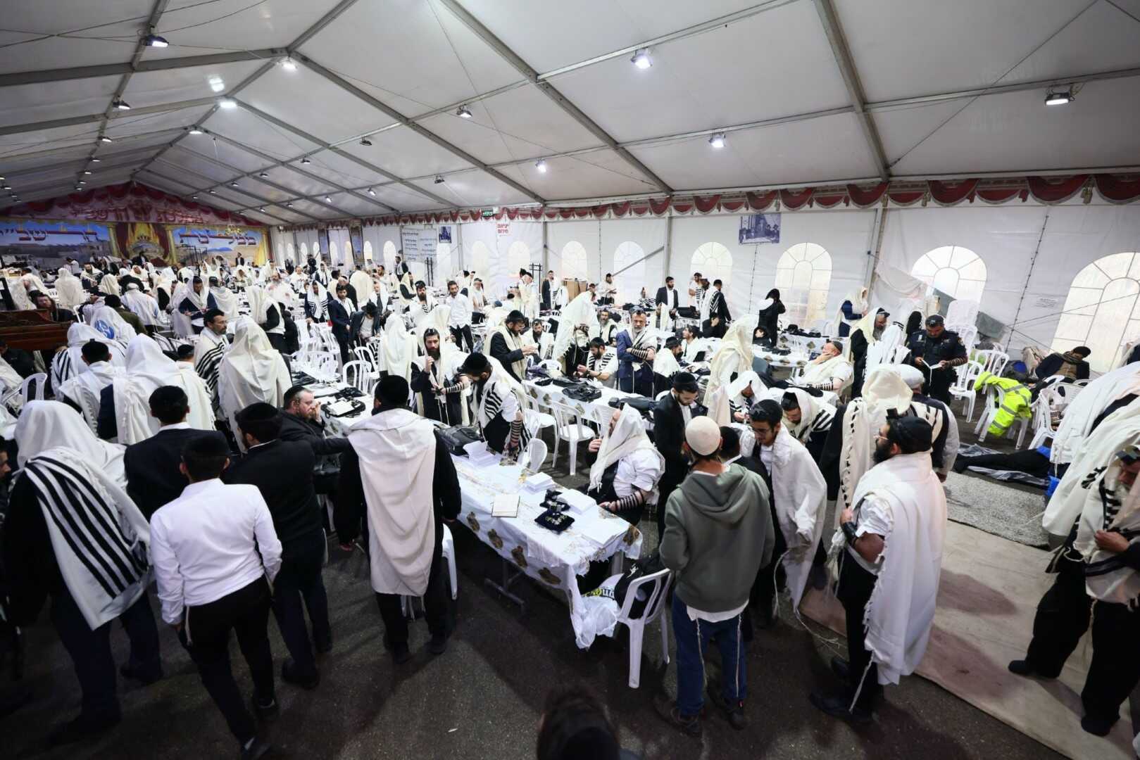 גלריית מירון 37